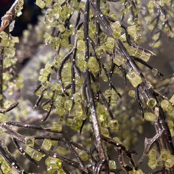 Ice glazed cedar garland - Picture 3 of 3